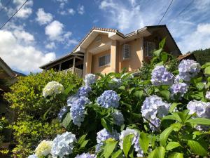 villa relax