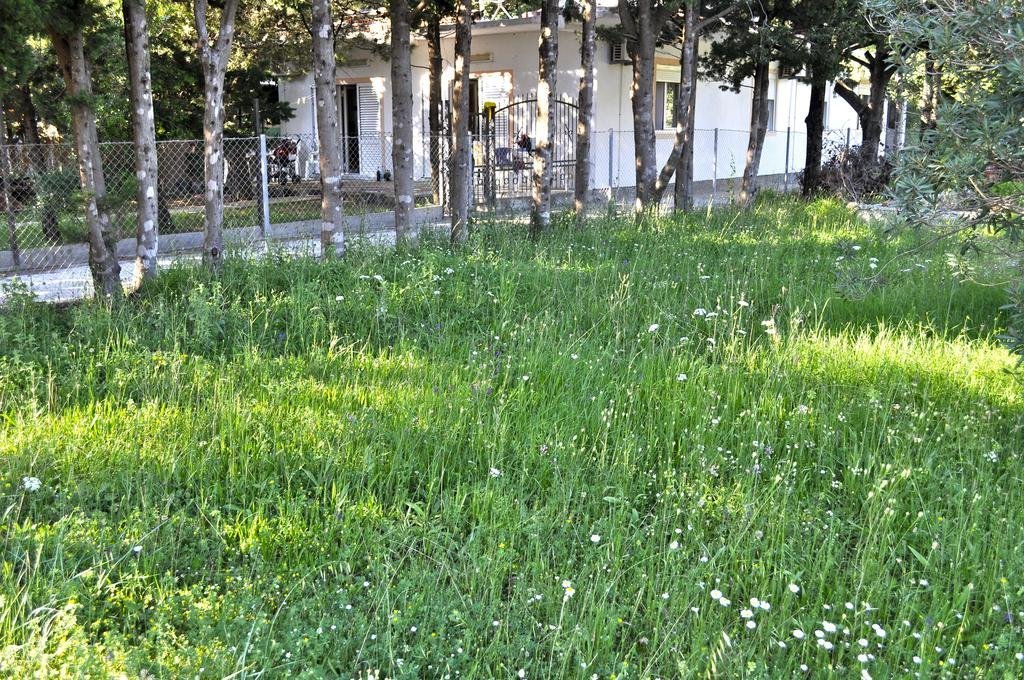 vila branka