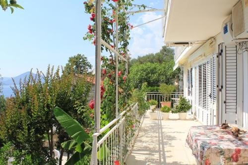 sun rose apartments sveti stefan