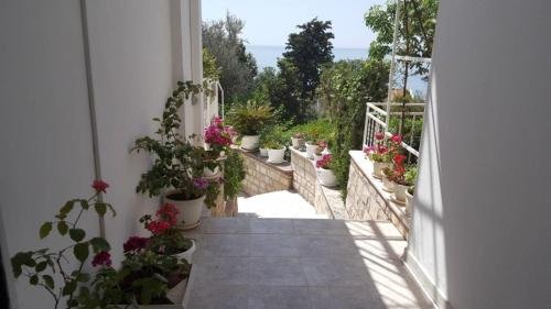 sun rose apartments sveti stefan