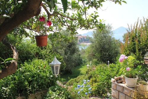 sun rose apartments sveti stefan