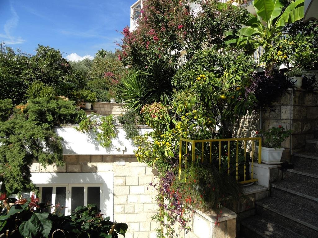 sun rose apartments sveti stefan