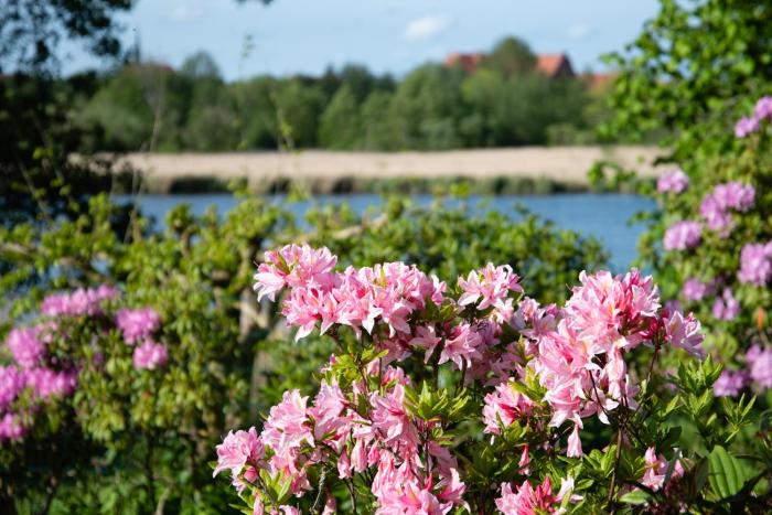 eckernfoerde