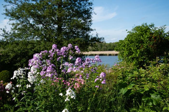 eckernfoerde