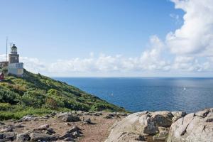 first camp molle hoganas