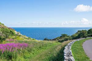 first camp molle hoganas