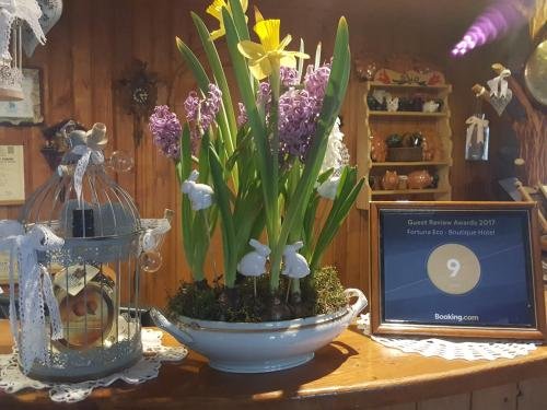 fortuna eco boutique hotel