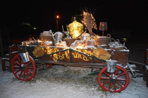 fortuna eco boutique hotel