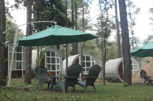 vkirirom pine resort