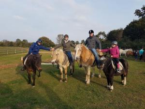 Malus Ponyhof,Oldenbüttel>>Alt Duvenstedt,3 star
