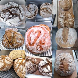 gasthaus zum halbmond