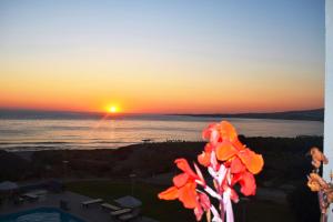 maricas boutique hotel