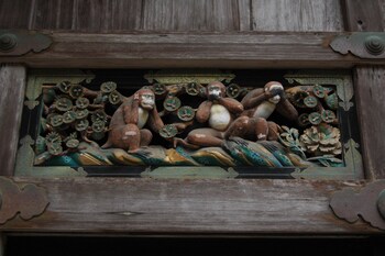 nikko