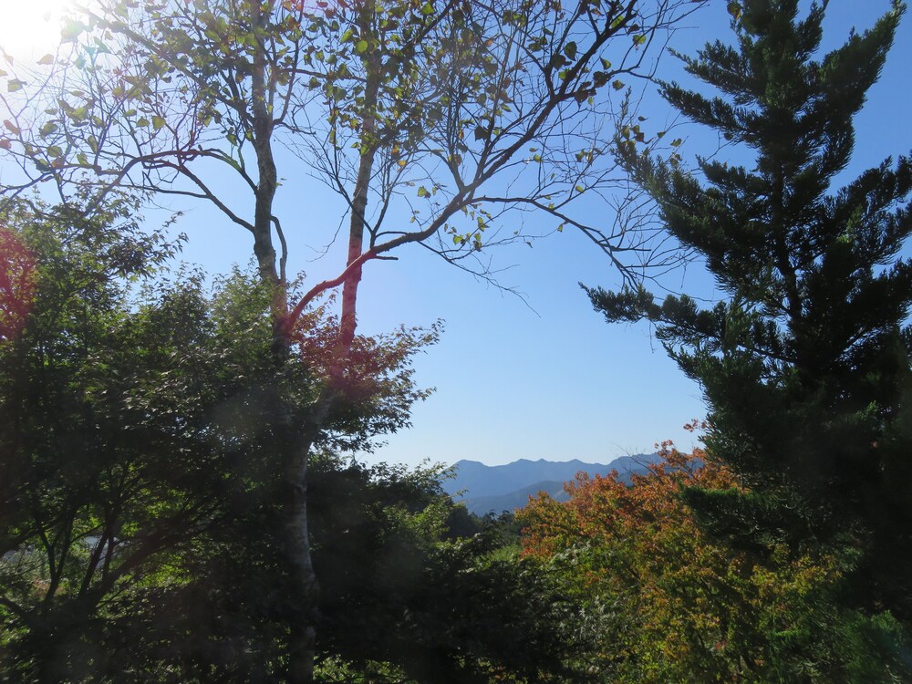 nikko
