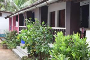 Jardim A Mar,Canacona>>Agonda,1 star
