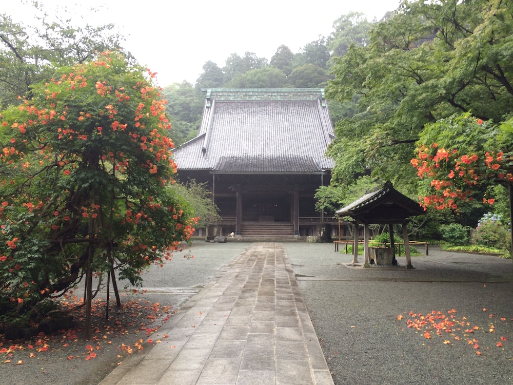guest house kamejikan hostel