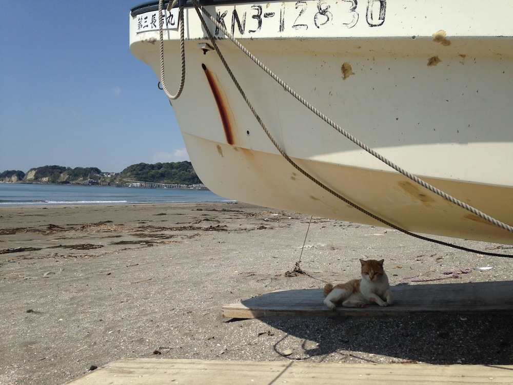 guest house kamejikan hostel