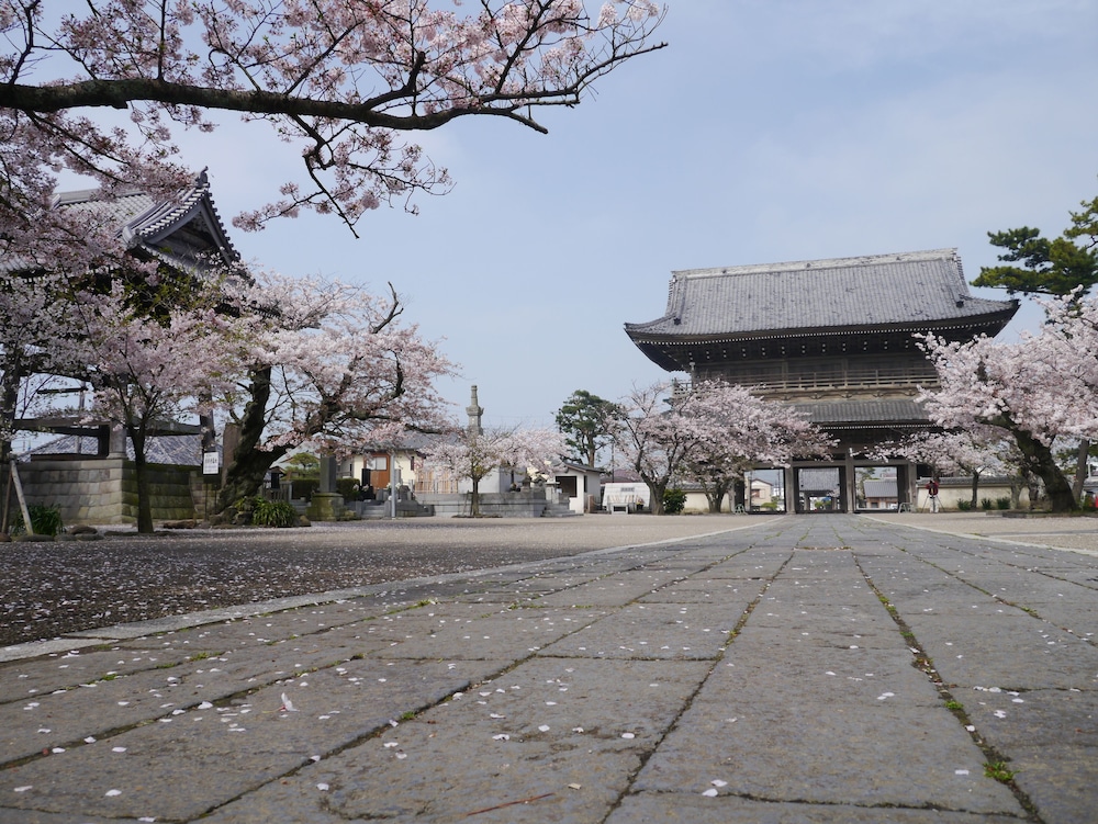 guest house kamejikan hostel
