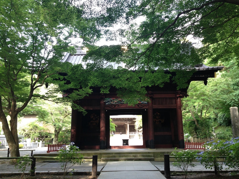 guest house kamejikan hostel