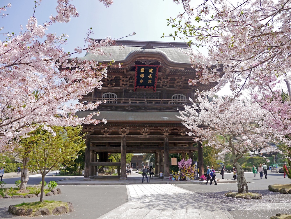 guest house kamejikan hostel