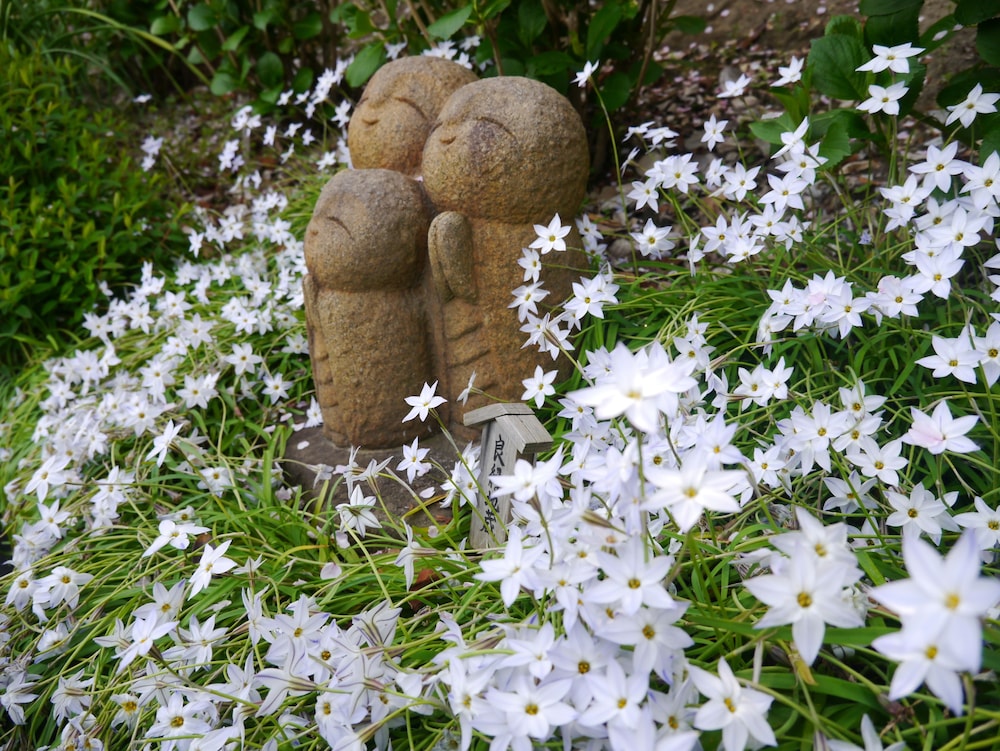 guest house kamejikan hostel