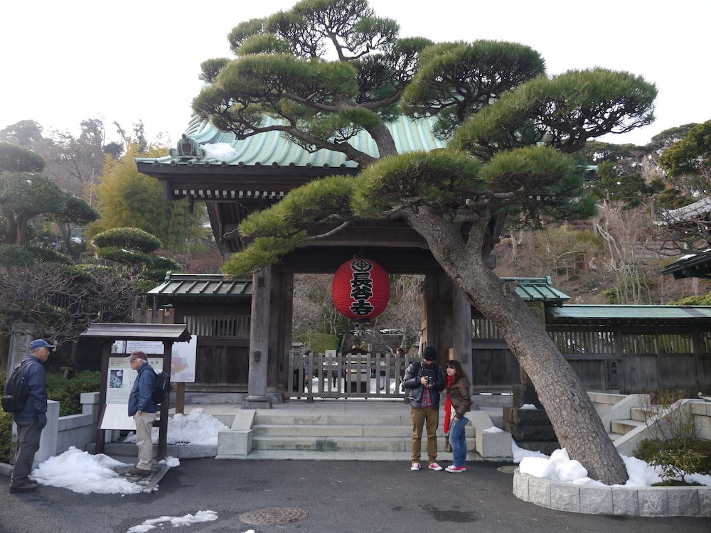 guest house kamejikan hostel