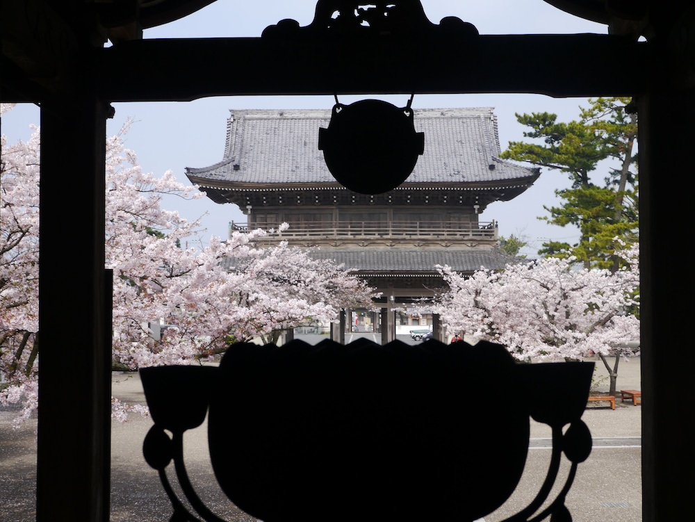 guest house kamejikan hostel