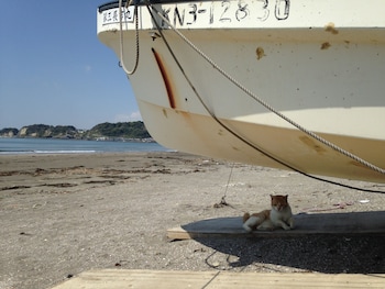 guest house kamejikan hostel