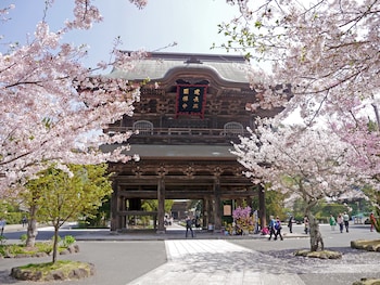 guest house kamejikan hostel