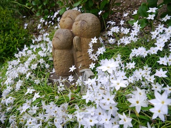 guest house kamejikan hostel