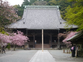 guest house kamejikan hostel