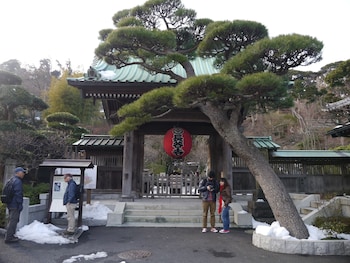 guest house kamejikan hostel