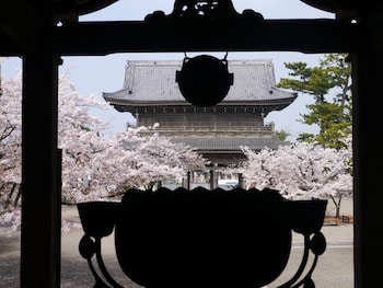 guest house kamejikan hostel
