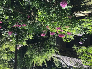 guest house kamejikan hostel