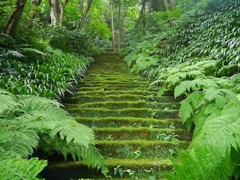 guest house kamejikan hostel