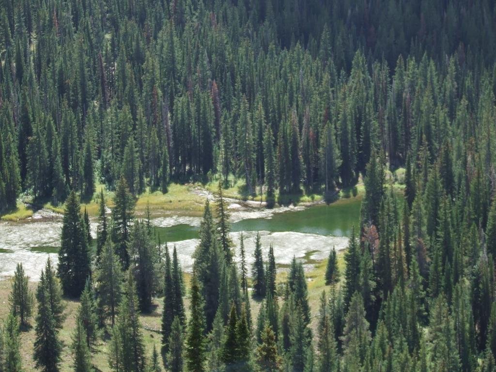 silver moon motel and suites