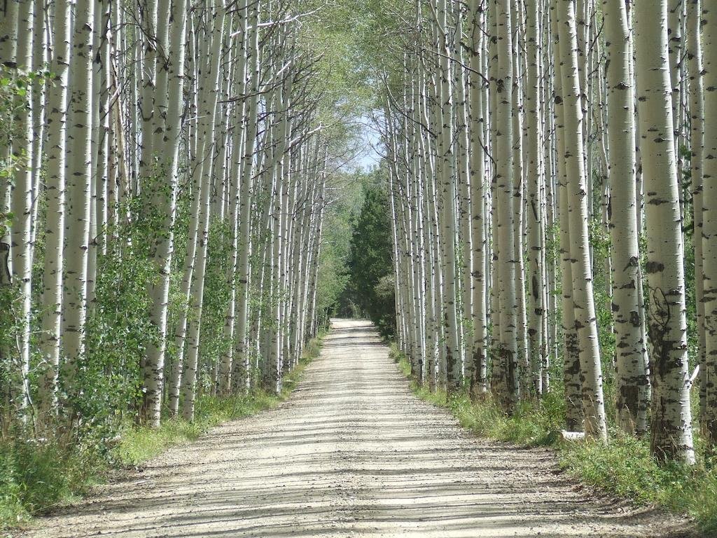 silver moon motel and suites