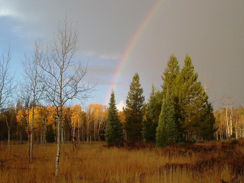 silver moon motel and suites