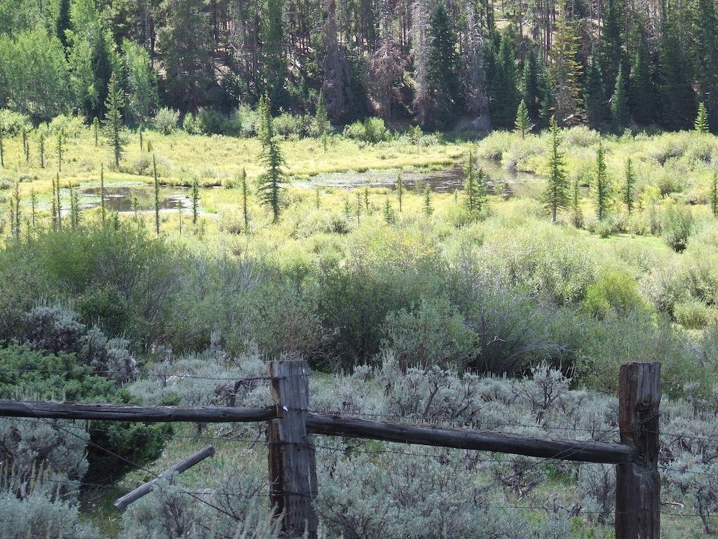 silver moon motel and suites