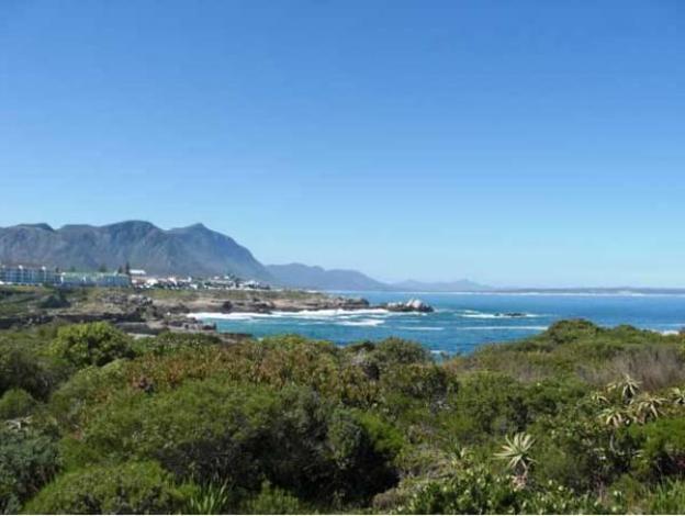 hermanus