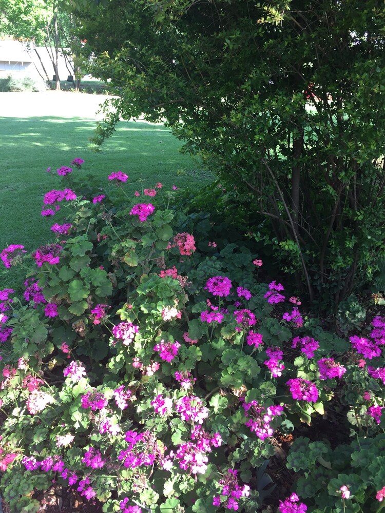 elsjes country inn guesthouse