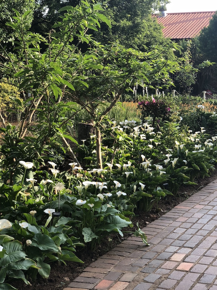 elsjes country inn guesthouse