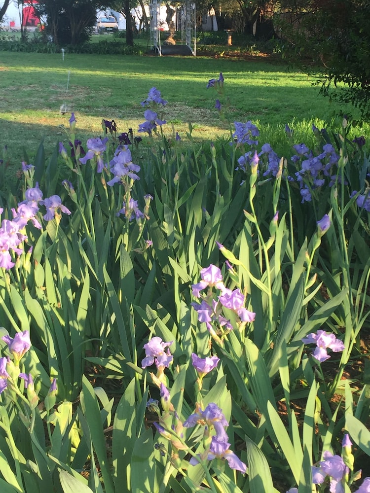 elsjes country inn guesthouse