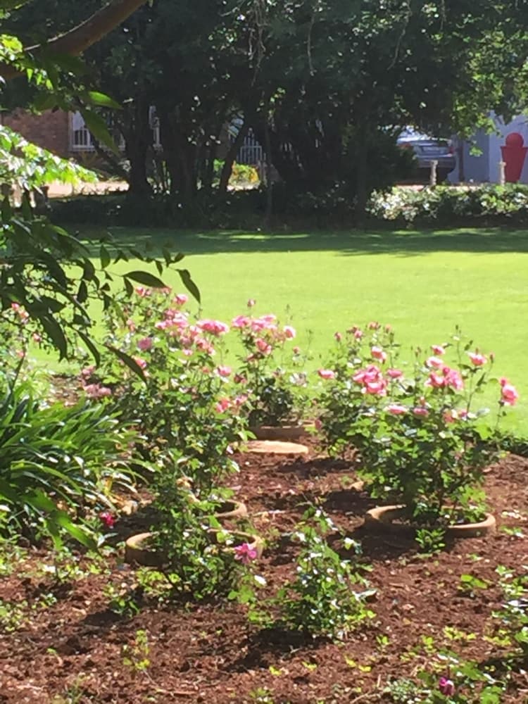 elsjes country inn guesthouse