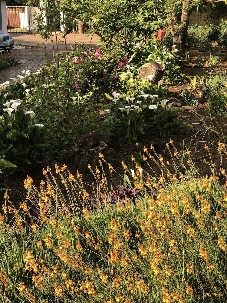 elsjes country inn guesthouse