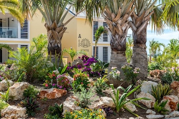 delfins beach resort bonaire tapestry collection by hilton