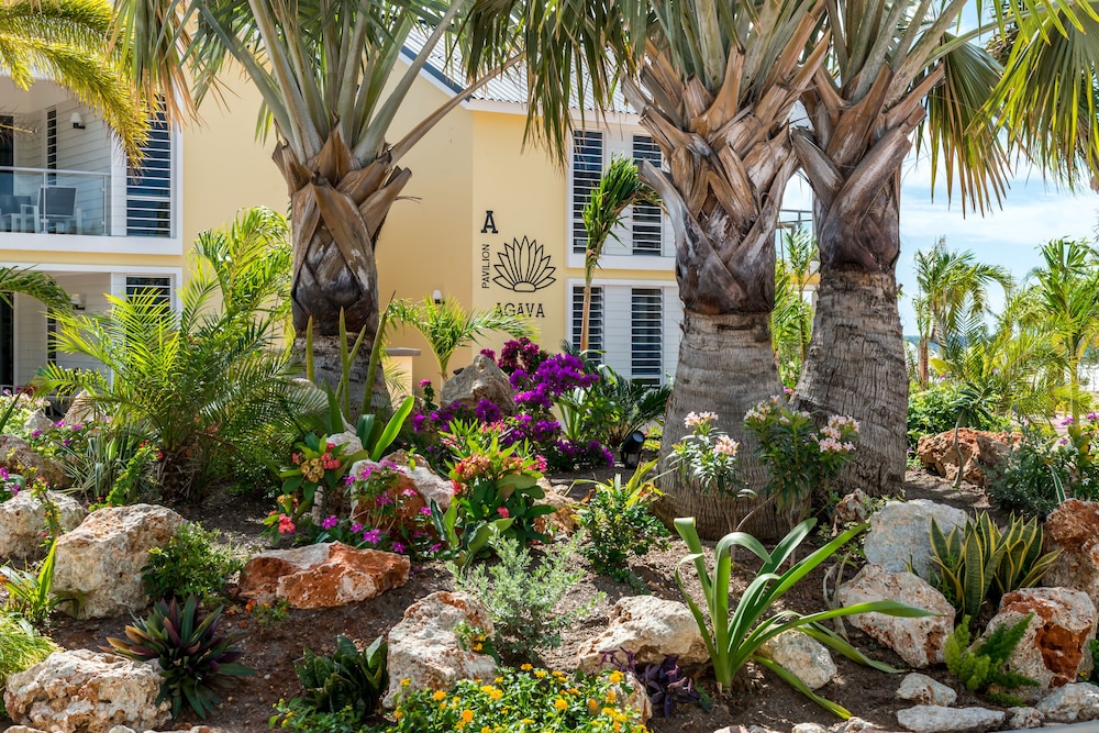 delfins beach resort bonaire tapestry collection by hilton