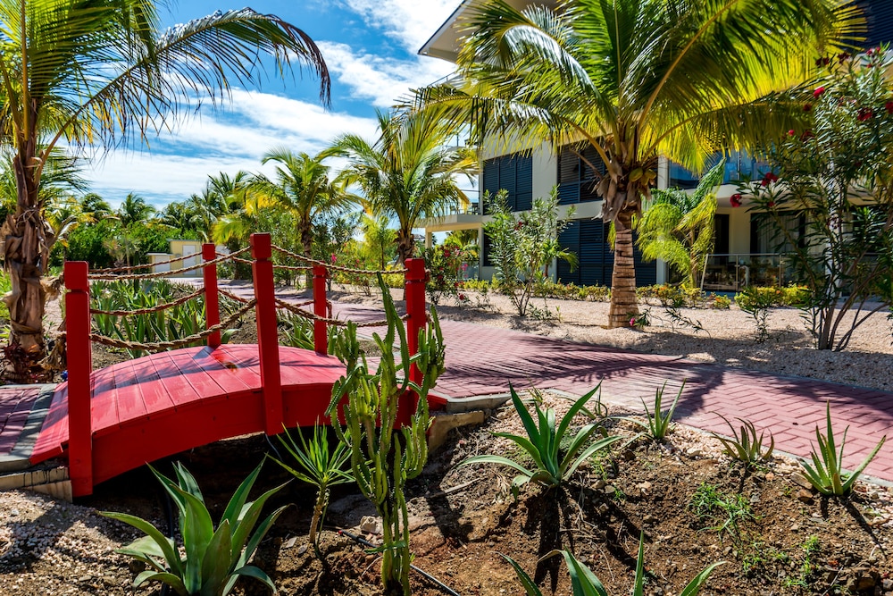delfins beach resort bonaire tapestry collection by hilton