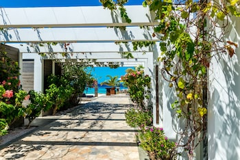 delfins beach resort bonaire tapestry collection by hilton