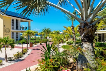 delfins beach resort bonaire tapestry collection by hilton